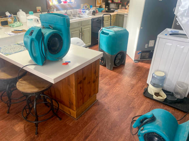 Best 24/7 water damage repair  in Bunk Foss, WA