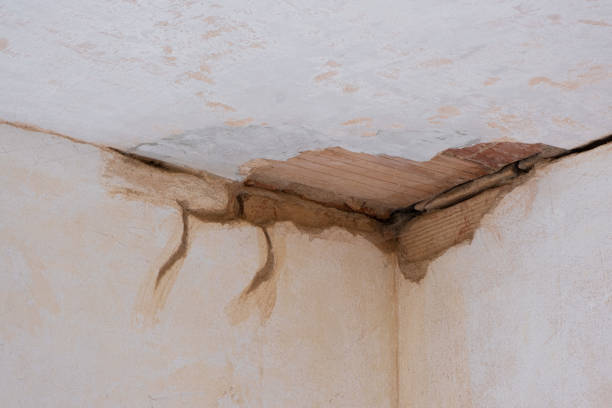 Best Fire Damage Restoration  in Bunk Foss, WA