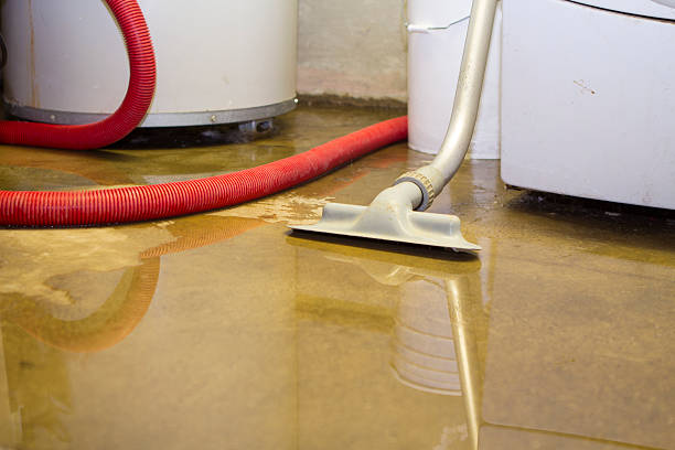 Best Ceiling water damage repair  in Bunk Foss, WA