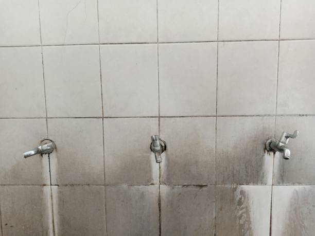 Best Flooded house restoration  in Bunk Foss, WA