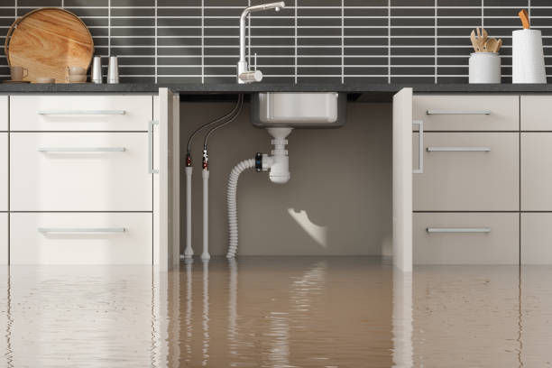 Reliable Bunk Foss, WA Water damage restoration Solutions
