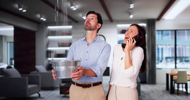 Best Mold removal after water damage  in Bunk Foss, WA